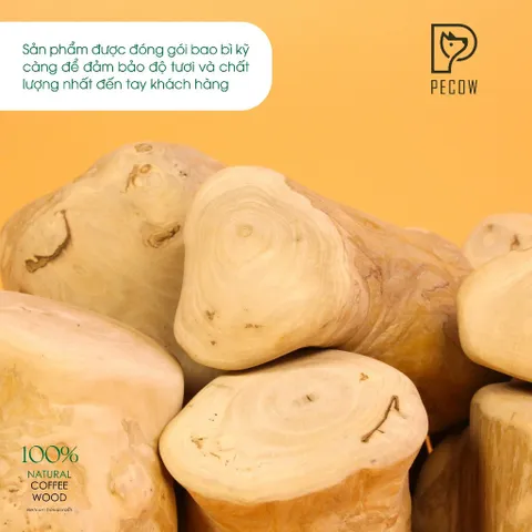 Gỗ gặm PeCow - Vệ sinh răng miệng, giảm căng thẳng size M