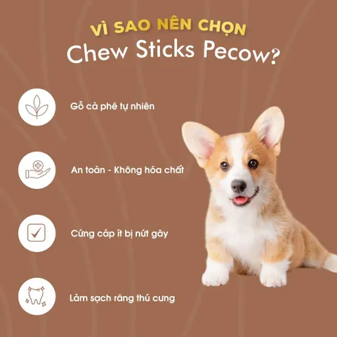 Chew Stick - Xương gặm cho chó bằng gỗ cà phê tự nhiên S / Giảm căng thẳng và lo âu