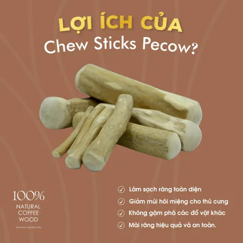 Chew Stick - Xương gặm cho chó bằng gỗ cà phê tự nhiên M / Giảm căng thẳng và lo âu
