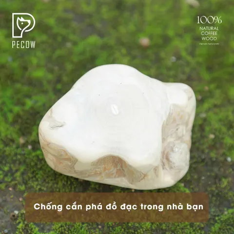 (Size M) Cục gỗ gặm cà phê cho thú cưng - Chăm sóc răng miệng, Giảm căng thẳng cho thú cưng