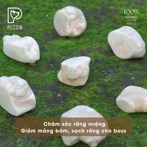 (Size M) Cục gỗ gặm cà phê cho thú cưng - Chăm sóc răng miệng, Giảm căng thẳng cho thú cưng