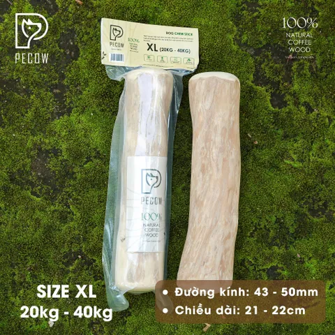 Thanh gỗ gặm đủ kích thước cho thú cưng từ gỗ cà phê - Giảm căng thẳng và lo âu