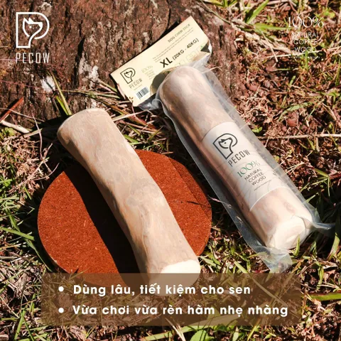 Thanh gỗ gặm đủ kích thước cho thú cưng từ gỗ cà phê - Giảm căng thẳng và lo âu