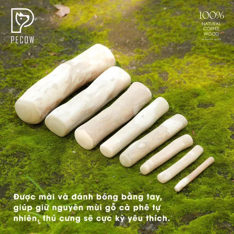 (Size S) Thanh gỗ gặm cho thú cưng từ gỗ cà phê - Giảm căng thẳng và lo âu