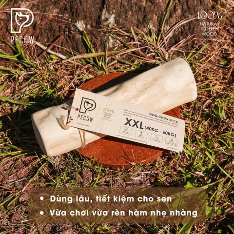 (Size XXL) Thanh gỗ gặm cho thú cưng từ gỗ cà phê - Giảm căng thẳng và lo âu