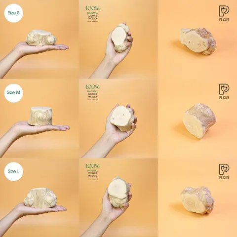 Gỗ gặm PeCow - Vệ sinh răng miệng, giảm căng thẳng size S