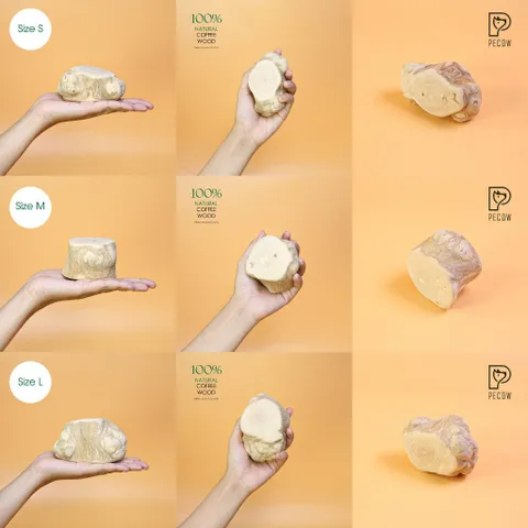Gỗ gặm PeCow - Vệ sinh răng miệng, giảm căng thẳng size L