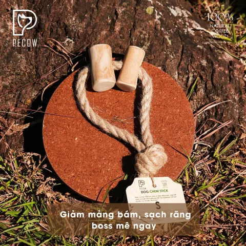 (Size S) Dây thừng thắt nút loại 2 cục từ gỗ cà phê - Giảm mảng bám, sạch răng cho thú cưng