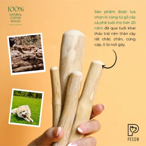 Xương gặm cho chó bằng gỗ cà phê tự nhiên / Giảm căng thẳng và lo âu đa dạng kích thước