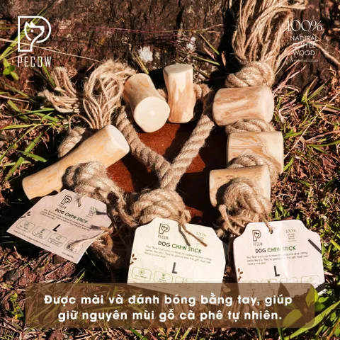 (Size L) Dây thừng thắt nút loại 2 cục từ gỗ cà phê - Giảm mảng bám, sạch răng cho thú cưng