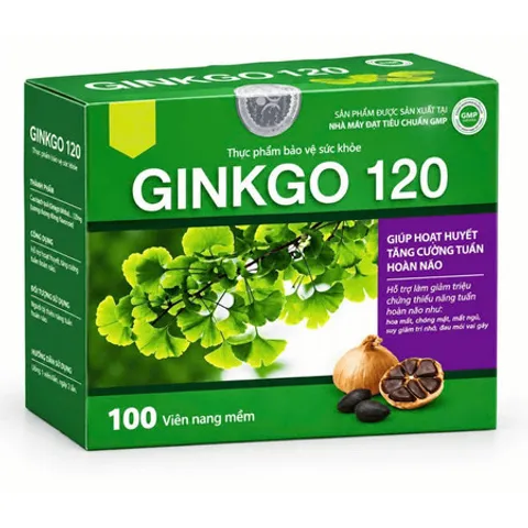 Ginkgo Biloba 120mg Hỗ Trợ Tuần Hoàn Máu Não, Tăng Cường Trí Nhớ