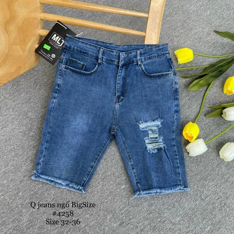[Bigsize] Quần Jean Lửng Gối Nữ Hàng Co Giãn Mạnh Ảnh Chụp Thật Từ 60-85kg Mã 3311