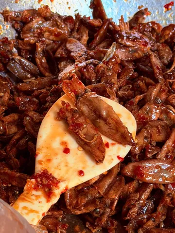 Mực rim nhà làm hủ 250g