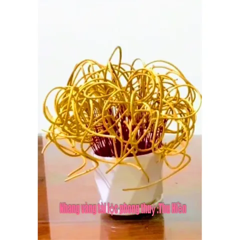 Nhang vàng cuốn tàn tài lộc - nhang trầm hương trầm cuốn tàn