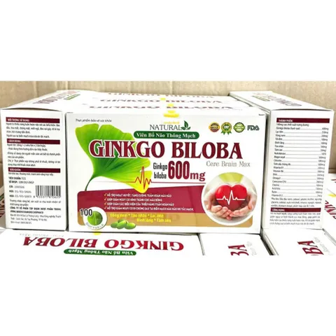 Hoạt huyết dưỡng não Ginkgo Biloba 600mg Giúp hoạt huyết, tăng cường lưu thông máu, giảm đau đầu chóng mặt 