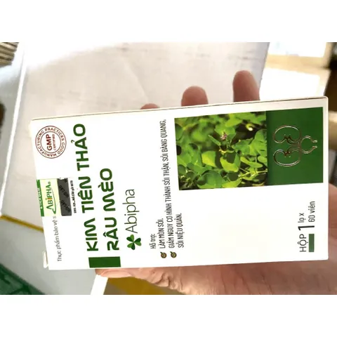 Kim tiền thảo Râu mèo abipha hỗ trợ sỏi thận, sỏi bàng quang, sỏi mật, sỏi đường tiết niệu 