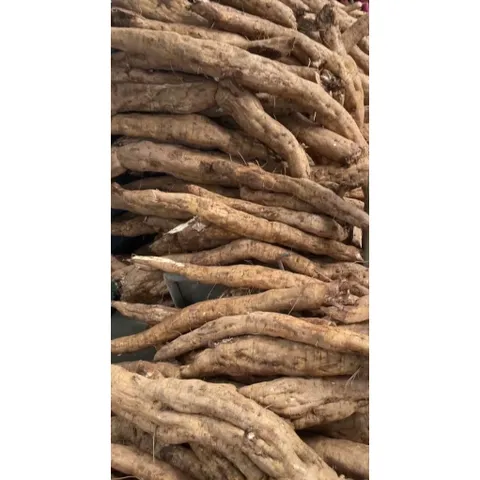 Bột sắn dây ta, bột sắn dây khô - sắn dây Hưng Yên - 1kg, 500g, 250g