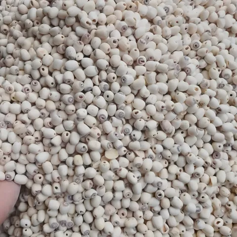 Hạt Sen Khô, hạt sen để nấu - hạt sen Minh Đức - 1kg, 500g, 250g