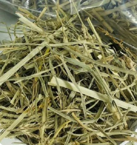 Cây Cỏ Mần Trầu hay còn gọi là Cỏ chỉ tía, Thanh tâm thảo, Ngưu cân thảo, Cỏ bắc....Giúp Mát Gan, Giải Độc, Giảm huyết áp..