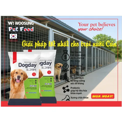 [BAO 15KG] Thức Ăn Hạt Cho Chó DOGDAY Cao Cấp - HƯƠNG VỊ HỒNG SÂM