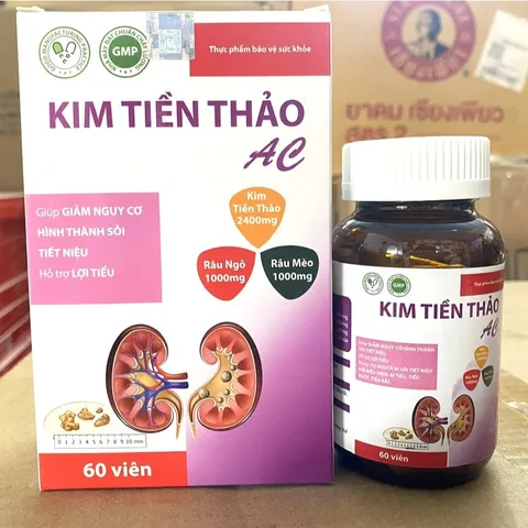 Kim Tiền Thảo Râu Mèo – Hỗ Trợ Sức Khỏe Thận, Đường Tiết Niệu, Hỗ Trợ Lợi Tiểu Và Lợi Mật