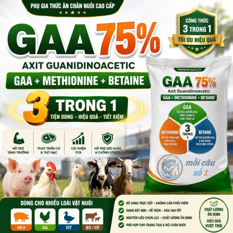 GAA 75% 3IN1 - Axit Guanidinoacetic + Methionine + Betaine | Hỗ trợ tăng trưởng và tạo nạc cho Heo, Bò, Dê, Gà, Vịt