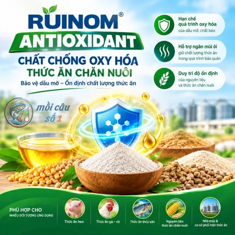Antioxidant - Chất chống Oxy hóa thức ăn chăn nuôi, thủy sản (Heo, Bò, Gà, Vịt, Tôm, Cá...)