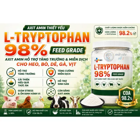 L-Tryptophan 98% - Axit amin hỗ trợ tăng trưởng & miễn dịch cho Heo, Bò, Dê, Gà, Vịt | Phụ gia chăn nuôi