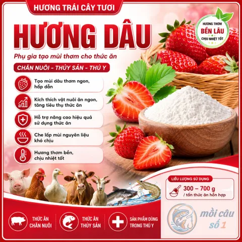 Hương Dâu nguyên chất - Tạo mùi thơm hương trái cây, giúp vật nuôi thèm ăn | Feed Flavor Fruit D
