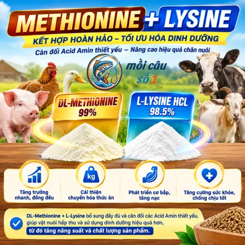 DL-Methionine 99% - Amino Acid hỗ trợ sinh trưởng, cân đối dinh dưỡng cho Heo, Bò, Gà, Tôm, Cá | Chăn nuôi, Thủy sản