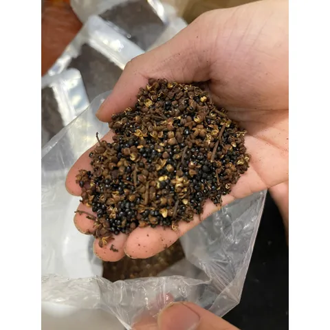 Hạt Mắc Khén Tây Bắc Hàng Loại 1 - Túi 100G