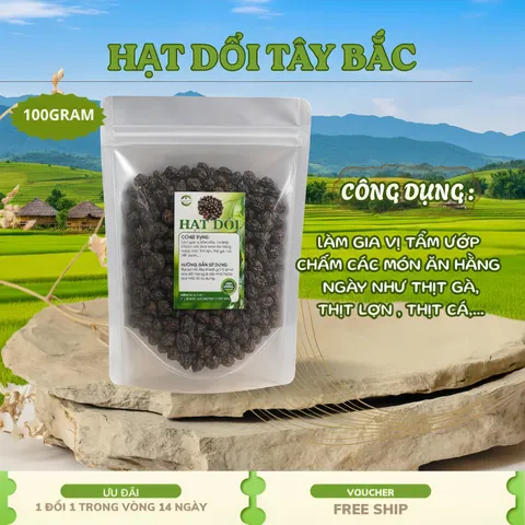 Hạt Dổi Nếp Cổ Thụ Chính Gốc Tây Bắc - Túi 100G