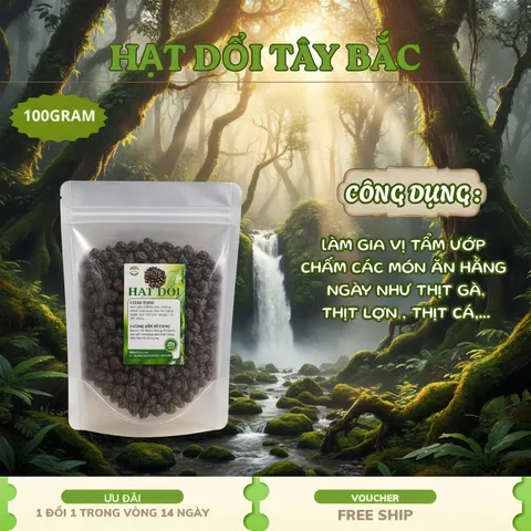 Hạt Dổi Nếp Cổ Thụ Chính Gốc Tây Bắc - Túi 100G