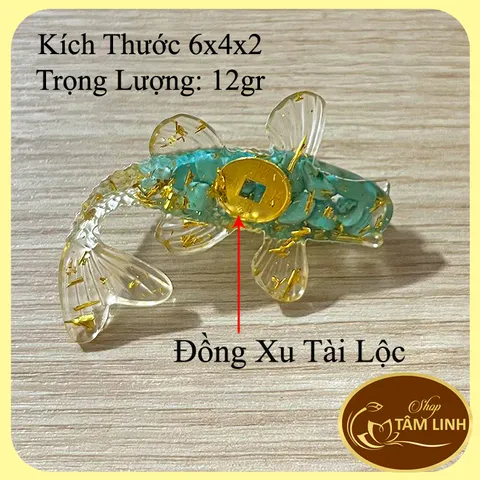 Cá koi phong thuỷ ,cá koi chiêu tài, có xu tài lộc, thả bát hoa minh đường tụ thuỷ thờ thần tài.