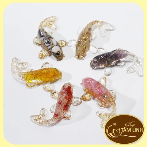 Cá koi phong thuỷ ,cá koi chiêu tài, có xu tài lộc, thả bát hoa minh đường tụ thuỷ thờ thần tài.