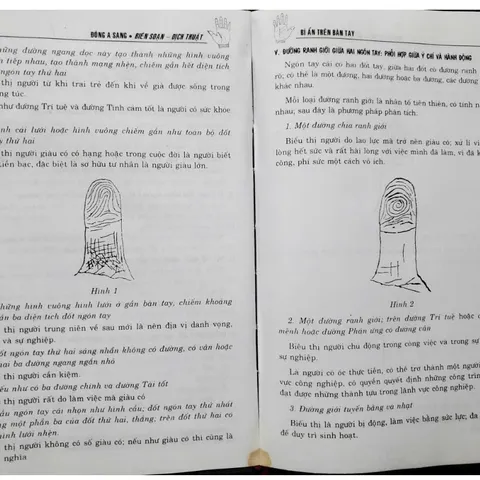 Bí Ẩn Trên Bàn Tay
