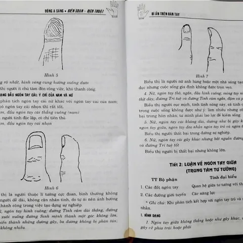 Bí Ẩn Trên Bàn Tay