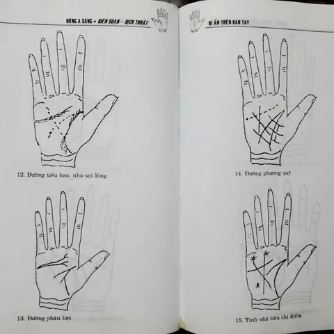 Bí Ẩn Trên Bàn Tay