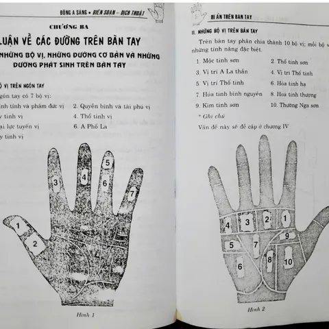 Bí Ẩn Trên Bàn Tay