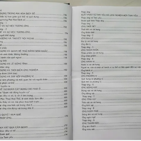 Mai Hoa Dịch Số Giải Mã Những Lẽ Huyền Vi Trong Vũ Trụ