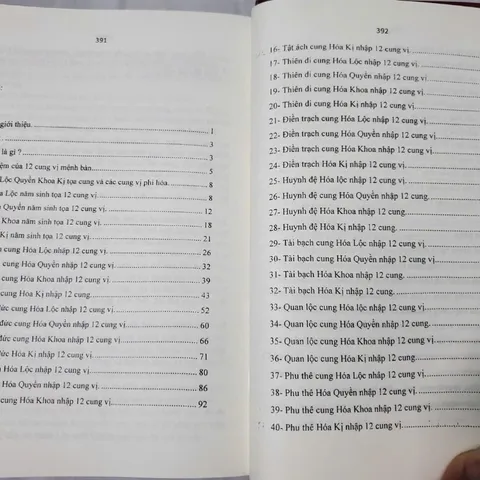 Tử Vi Đẩu Số Phi Tinh – Lương Nhược Du Phái (2 Tập)
