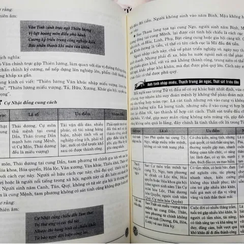 Tử Vi Đẩu Số Toàn Thư