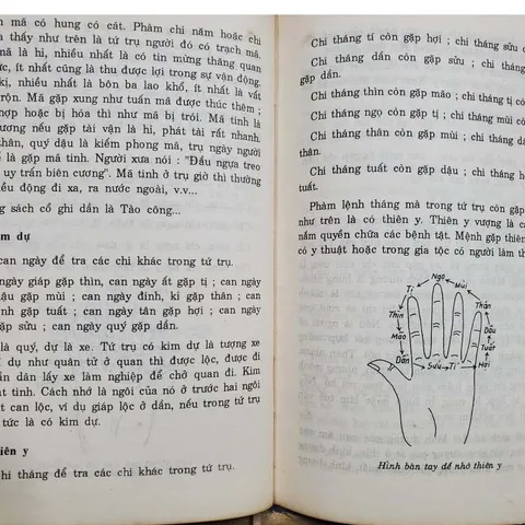 Nhập Môn Dự Đoán Thao Tứ Trụ