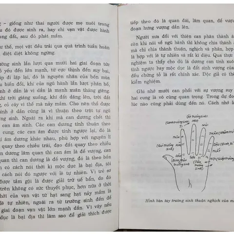 Nhập Môn Dự Đoán Thao Tứ Trụ