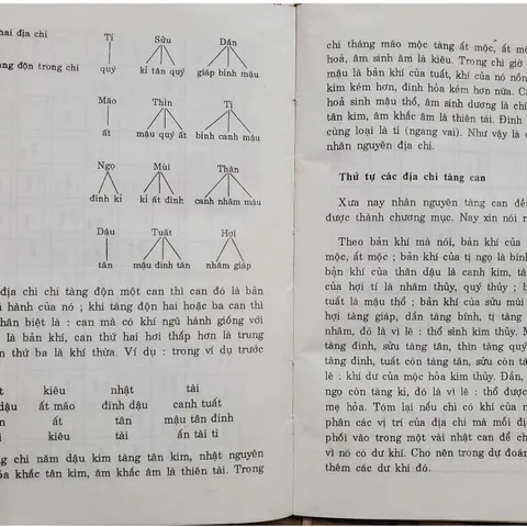 Nhập Môn Dự Đoán Thao Tứ Trụ