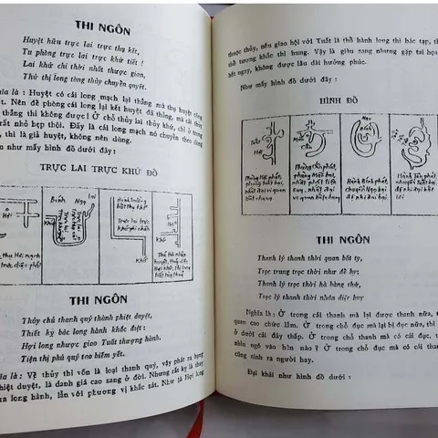 Bảo Ngọc Thư (Điểm Huyệt Tầm Long) – Việt Hải (Bộ 2 Tập)