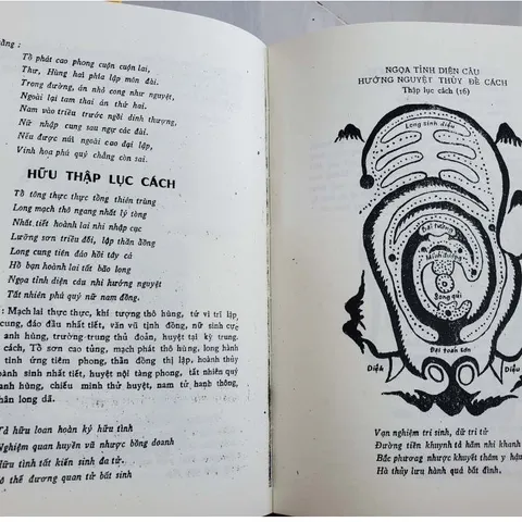 Bảo Ngọc Thư (Điểm Huyệt Tầm Long) – Việt Hải (Bộ 2 Tập)