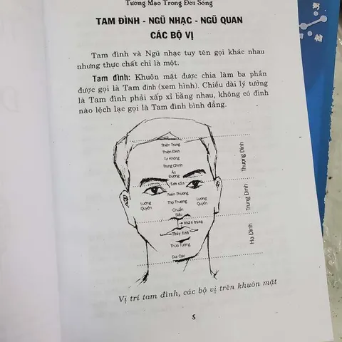 Tướng Mạo Trong Cuộc Sống