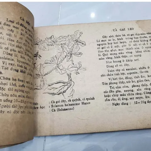 150 Cây Thuốc Nam Thường Dùng (Cũ Như Hình)
