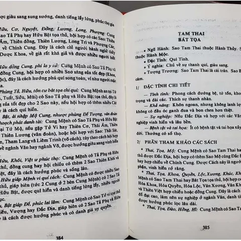 Tử Vi Lý Số Dẫn Giải  – Nhân Quang Nguyễn Thế Tạo